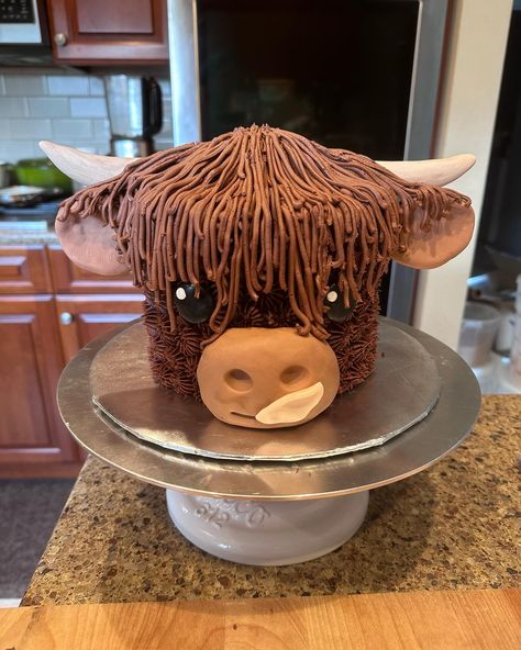 GF Chocolate Highland Cow Smash Cake with Chocolate Buttercream Frosting & @satin.ice Fondant Horns ☺️ #highlandcow #cakedeorating #cakedecorating #cakeart #cakedesign #cakedecorator #glutenfree #glutenfreebaking Highland Cow Cake Smash, Highland Cow Smash Cake, Highland Cake, Cow Cake Smash, Cow Smash Cake, Highland Cow Cake, Cow Cake, Satin Ice Fondant, Cow Cakes