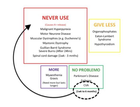 Roc vs succs Anesthesia School, Myotonic Dystrophy, Crna School, Nclex Prep, Severe Burns, Emergency Room Nurse, Critical Care Nursing, Relationships Are Hard, Emergency Nursing