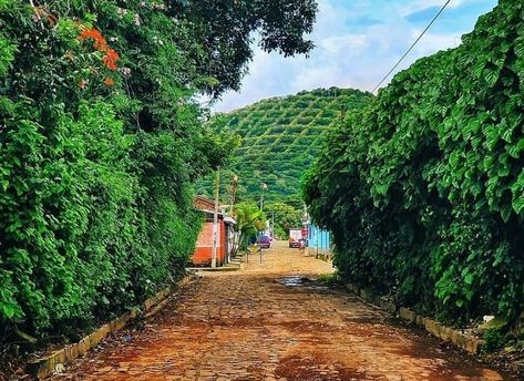 Apaneca El Salvador. Charming Town in Ahuachapan Apaneca, Andrew The Apostle, Small Restaurants, Coffee Farm, Cypress Trees, Old Church, Sea Level, Tourist Destinations, Tourist Attraction