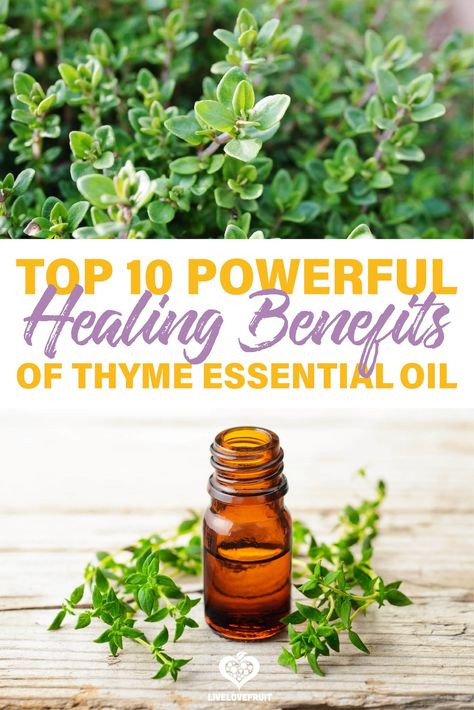 Thyme Oil Benefits, Benefits Of Thyme, Thyme Benefits, Diffuser Oil Blends, Natural Medicines, Thyme Herb, Benefits Of Nature, Herbs Remedies, Thyme Essential Oil