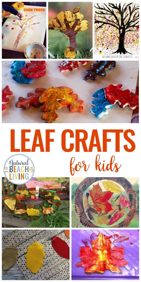 Bring the beauty of fall indoors with these 25 Leaf Crafts for Kids. These fun seasonal craft projects are perfect for kids to make themselves or in a classroom. Craft with real leaves and sticks to create beautiful artwork and colorful displays for autumn. Fall Crafts for Kids and Easy fall leaf craft activities #fallcrafts #craftsforkids #fall #leaves #preschool #kindergarten Fall Leaves Preschool, Leaves Preschool, Leaf Crafts For Kids, Leaf Science, Leaf Activity, Leaf Activities, Small Craft Projects, Leaf Craft Activities, Fall Sensory