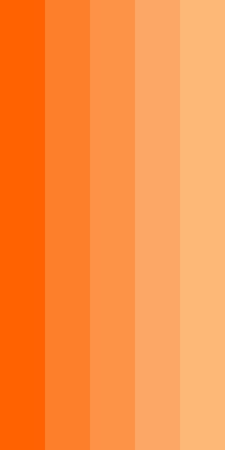 Orange Palette, Orange Color Schemes, Orange Color Palettes, Orange Creamsicle, Orange Paint, Orange Aesthetic, Orange Wallpaper, Color Codes, Color Palette Design