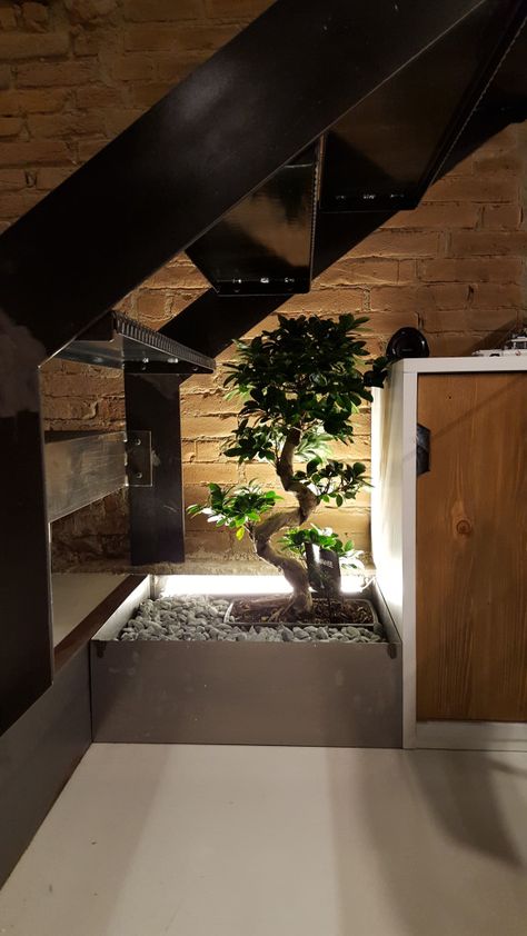 Vano scala – Enrico Ballani Sottoscala Ideas, Under Stairs Garden, Plants Under Stairs, Toilet Under Stairs, Dog House Under Stairs, Decor Under Stairs, Jardin Zen Interior, Under Staircase Ideas, Living Room Under Stairs