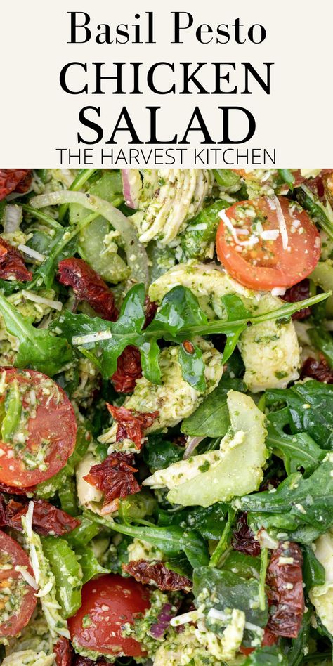 Arugula Salad Recipes Chicken, Salad Ideas For Dinner, Chicken Pesto Salad, Chicken Arugula Salad, Salad With Pesto Dressing, Ibs Meals, Chicken Arugula, Pesto Chicken Salad, Basil Pesto Chicken