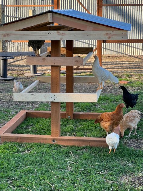 Chicken Coop Chain Link Fence, Meat Birds Coop, Chicken Food Shelter, Indoor Chicken Cage, Chicken Hideouts, Chicken Coop Decorating Ideas Easy Diy, Chicken Fence Ideas Diy, Shade For Chickens, Diy Homestead Projects