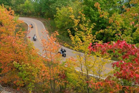 You Can Live Off The Grid In This Arkansas Town Considered The Best In The Country Fall Foliage Map, Queen Wilhelmina, Motorcycle Trip, Motorcycle Rides, Arkansas State, Eureka Springs, Scenic Byway, Forest Service, Peaceful Life