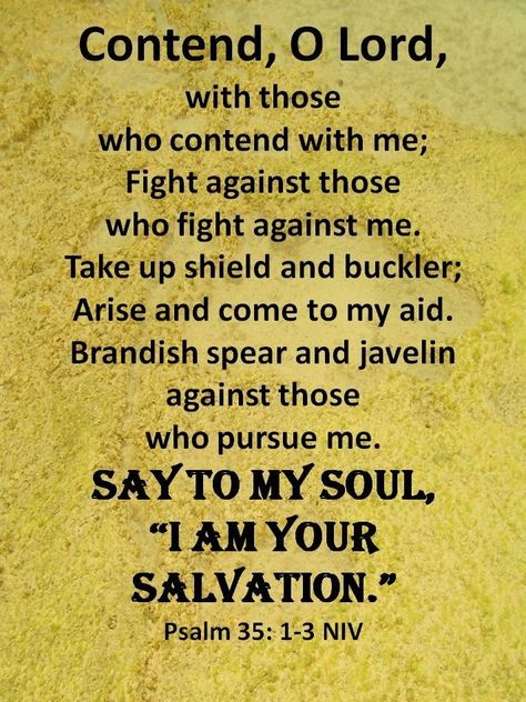 Psalm 35:1-3 (NIV) - Contend, Lord, with those who contend with me; fight against those who fight against me.Take up shield and armor; arise and come to my aid. Brandish spear and javelin against those who pursue me.Say to me, “I am your salvation.” Pursue Me, Psalm 35, Bible Psalms, High Horse, Living Photo, Prayer And Fasting, Christian Stuff, Lord God, Faith Prayer