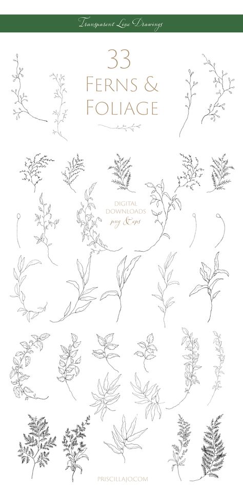 Foliage Hand Tattoo, Fern Line Art, Simple Fern Drawing, Botanical Sketches Simple, How To Draw Foliage, Botanical Line Tattoo, Foliage Tattoo Design, Fern Line Drawing, Minimal Sketch Art