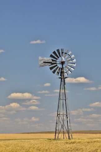 size: 12x8in Photographic Print: Windmill in wheat field Eastern Washington by Darrell Gulin : Windmill Painting, Windmills Photography, Farm Windmill, Winter Wheat, Old Windmills, Eastern Washington, Wheat Field, A2 Poster, Wheat Fields