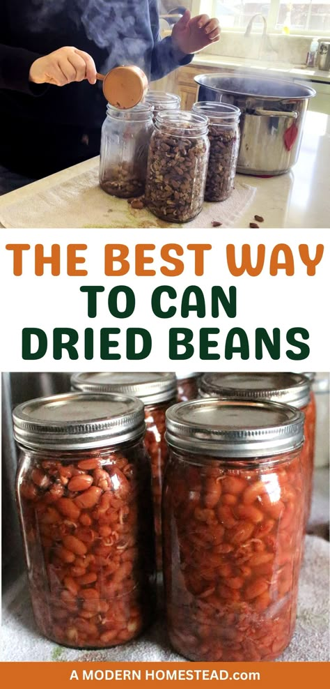 Canning for Beginners: Discover how easy it can be to can dried beans at home! Our detailed guide includes pressure canning recipes that make it simple to add a variety of beans to your pantry. Visit amodernhomestead.com for more Easy Canning Recipes. Canning Easy Recipes, Easiest Canning Recipes, Pressure Canning Dry Beans, How To Can Dried Beans, Canning Goulash, Canning Store Bought Foods, How To Can Kidney Beans, Canning Beans Water Bath, Pressure Canning Dried Beans