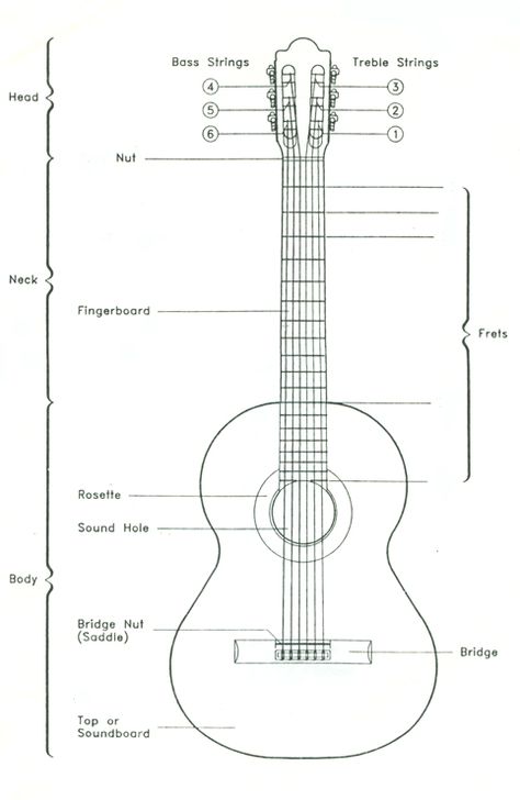 Parts of a guitar Teaching Guitar, Electric Guitar Chords, Name Drawings, Guitar Drawing, Music Project, Guitar Parts, Guitar Chords, Preschool Activities, Music Lovers