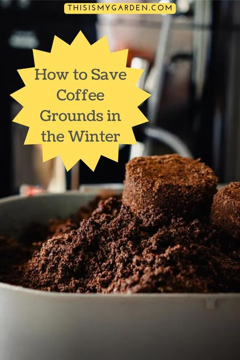 A large bowl full of used and dried coffee grounds. From thisismygarden.com. How To Dry Out Used Coffee Grounds, How To Save Coffee Grounds For Garden, How To Dry Coffee Grounds, Coffee Grounds Storage, Diy Coffee Ground Logs, How To Store Coffee Grounds, Uses For Used Coffee Grounds, Which Plants Like Coffee Grounds, Used Coffee Grounds Uses