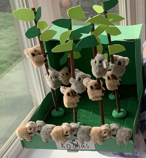 Koala Diy Crafts, Koala Habitat Diorama, Koala Diorama Project, Cute Diorama, Koala Habitat, Diaroma Ideas, Simba Birthday, Habitat Diorama, Koala Marsupial