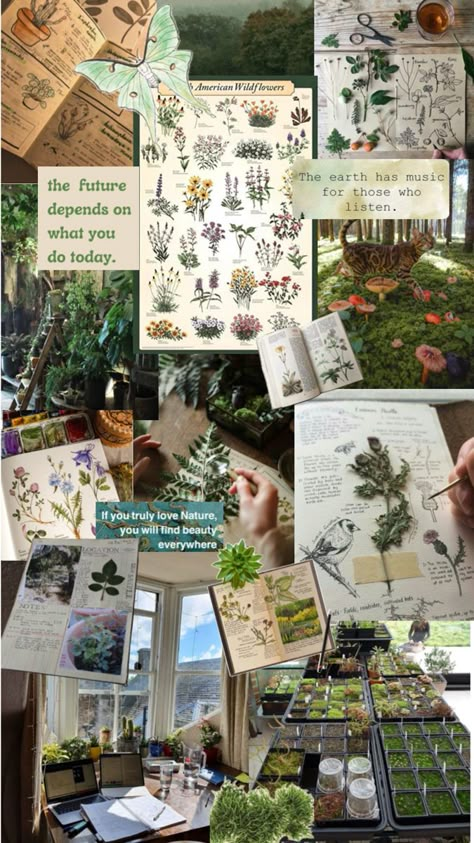 Vision board for my dream life Plant Vision Board, Vision Board Nature Aesthetic, Botanicals Aesthetic, Herbology Class Aesthetic, Plant Science Aesthetic, Nature Vision Board, Conservation Biology Aesthetic, Botany Study Tips, Studying Botany Aesthetic