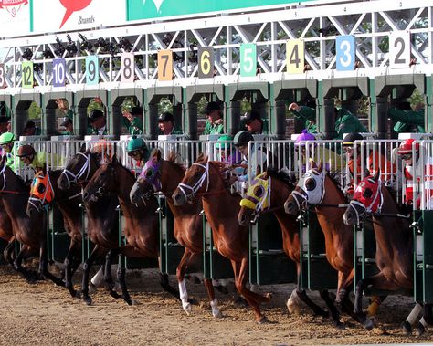 California Chrome and the rest of the field leave the starting gate for the 140th Running of the Kentucky Derby at Churchill Downs on May 3, 2014. Photo By: Chad B. Harmon Kentucky Derby Aesthetic, Derby Aesthetic, Horse Riding Outfit Women, Kentucky Derby Decorations, Secretariat Horse, California Chrome, Horse Riding Outfit, Ky Derby, Derby Horse