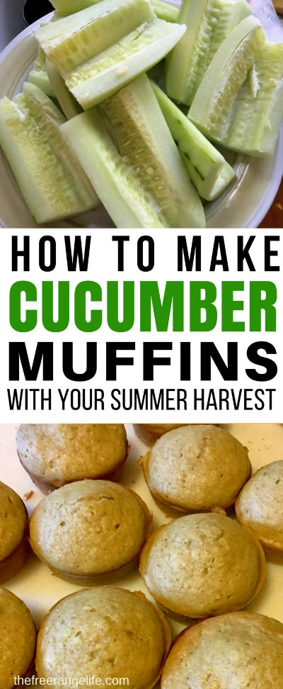 If you have fresh cucumbers piling up, try something new! These cucumber muffins are the perfect way to preserve your cucumber harvest. They freeze well and make an easy snack or breakfast and are perfect for packing in lunch boxes for school or work! Food Preservation|  Gardening | Preserving Cucumbers Cucumber Muffin Recipe, Easy Snacks For Men, Cucumber Baking Recipes, Sweet Cucumber Recipes, Cucumber Recipes Appetizers, Cucumber Muffins, Cucumber Recipes Easy, Cucumber Ideas, Cucumbers Recipes