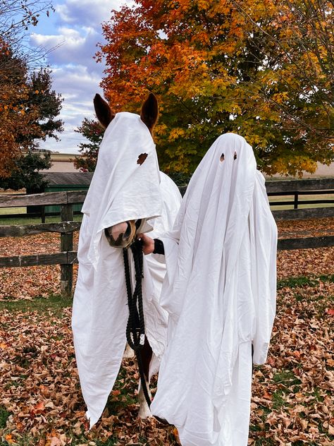 #equestriancostume #horseghost #horsecostume #horsehalloween #spookyszn #spookyhorse Horse Ghost Costume, Halloween Horse Photoshoot, Equestrian Halloween, Equine Photography Poses, Horse Halloween, Halloween Shoot, Boo Bash, Ghost Halloween Costume, Sheet Ghost