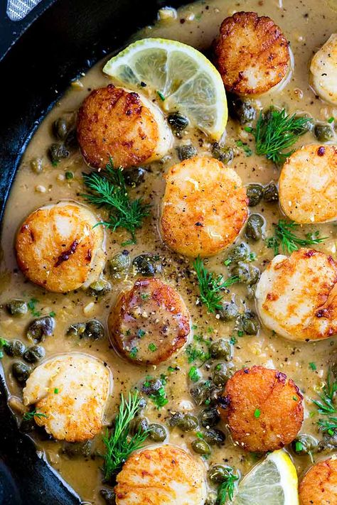 Pan Seared Scallops with Lemon Caper Sauce Lemon Caper Sauce, Caper Sauce, Pan Seared Scallops, Seafood Entrees, Seared Scallops, Scallop Recipes, Fish Dinner, Scallops Seared, Seafood Dinner