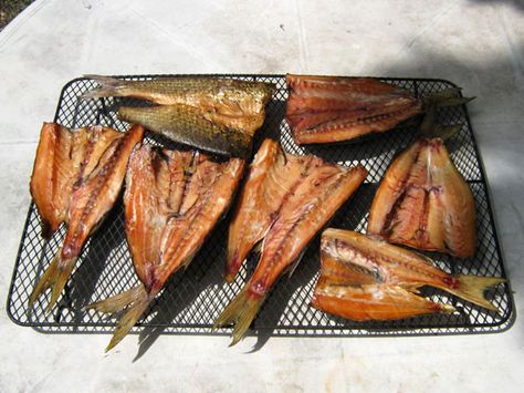 Smoked mullet Smoked Mullet Recipe, Smoked Mullet, Traeger Ideas, Mullet Recipe, Smoked Fish Recipe, Mullet Fish, Big Green Egg Recipes, Green Egg Recipes, Catfish Recipes