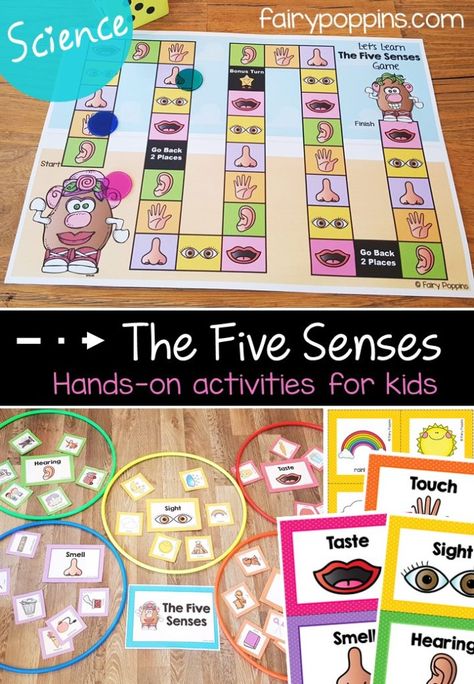 Five Senses Activities For Kids | Fairy Poppins My Body Five Senses Activities Game, Senses Activities For Kids, Five Senses Activities, Fairy Poppins, 5 Senses Preschool, Science Games For Kids, Five Senses Preschool, 5 Senses Activities, Senses Preschool