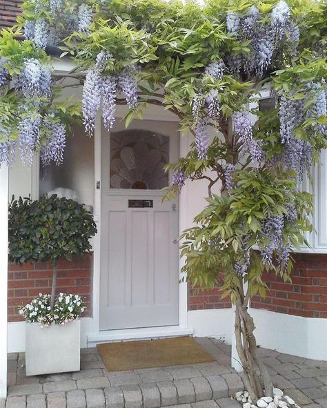 Pavilion Grey, Front Door Steps, Front Gardens, Modern Country Style, Painted Front Doors, Front Door Colors, Beautiful Doors, Garden Cottage, Back Garden