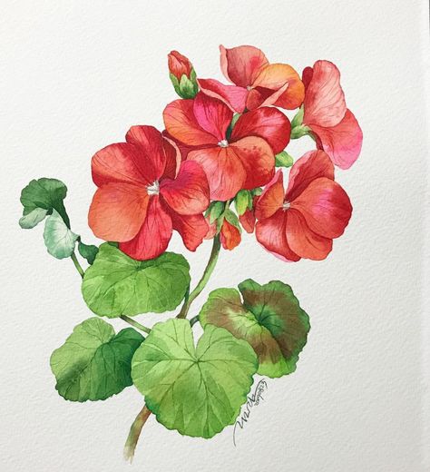 Capturado con Lightshot Watercolor Flowers Tutorial, Flower Art Drawing, Watercolor Projects, Watercolor Flower Art, Watercolor Painting Techniques, 수채화 그림, Flower Art Images, Watercolor Art Lessons, Botanical Painting