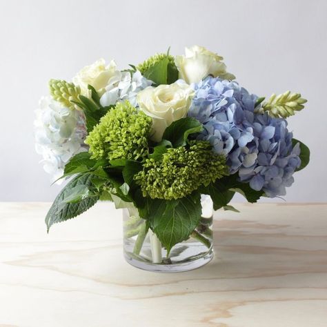 Meadow Breeze BD0 Blue Flower Arrangements, Hydrangea Varieties, Wedding Flower Guide, Fresh Wedding Flowers, Blue And White Flowers, Hydrangea Arrangements, Green Hydrangea, Flower Guide, White Wedding Flowers