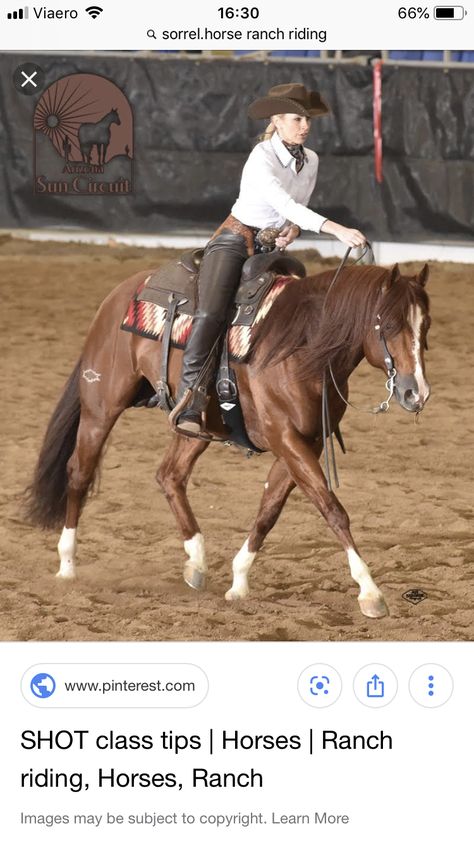 Riding Ideas, Western Horse Riding, Working Cow Horse, Ranch Riding, Horse Reining, Reining Horses, Equestrian Aesthetic, Western Riding, Western Pleasure