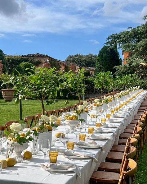 Villa Catignano on Instagram: "Sensational Pasta Party Among the Lemon Trees at @villa_catignano 🌿❤️🍋 11th June 2024  Nestled in the heart of our Italian Garden in Tuscany,  our beautiful couple Asiya and Aafaq welcomed their guests with a delightful Dinner. A perfect start to their unforgettable Big Days ahead! 🇮🇹🍋🍝  📹Photos & Video: @villa_catignano @marmoross  @villa_catignano @chechic_weddings @class_ricevimenti   @bianchi_fiori @audiovisualsiena   @asiyafkhan ❣️🫶 @wakipaki19   #weddingvenues #brides #villacatignano #luxurywedding  #italiainunoscatto #weddingday #weddingphotos #weddingplanning #weddingflorals #weddingcandles #weddingitaly #italyweddings #italywedding #weddingcenterpiece #weddingflowers #weddingtable #weddinggoals #weddingtuscany #weddingdetails #weddingideas #w Villa Catignano Wedding, Tuscan Garden Wedding, Italy Inspired Wedding, Villa Catignano, Sicily Wedding, Pasta Party, Tuscan Garden, Lemon Trees, Tuscan Inspired