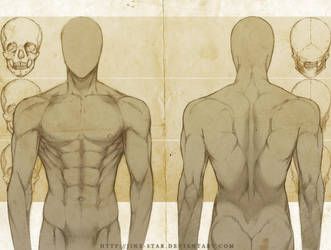 +MALE ANATOMY: FRONT + BACK STUDY+ by jinx-star Back Drawing, Male Figure Drawing, Male Anatomy, Man Anatomy, Human Anatomy Drawing, Human Figure Drawing, Anatomy Sketches, Body Reference Drawing, Anatomy Drawing