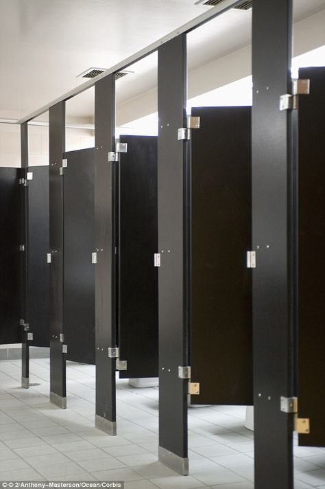 Ladies Restroom, Bathroom Stalls, Toilet Cubicle, Bathroom Stall, Silver Bathroom, Restroom Design, Ladies Room, Black Toilet, Public Bathrooms