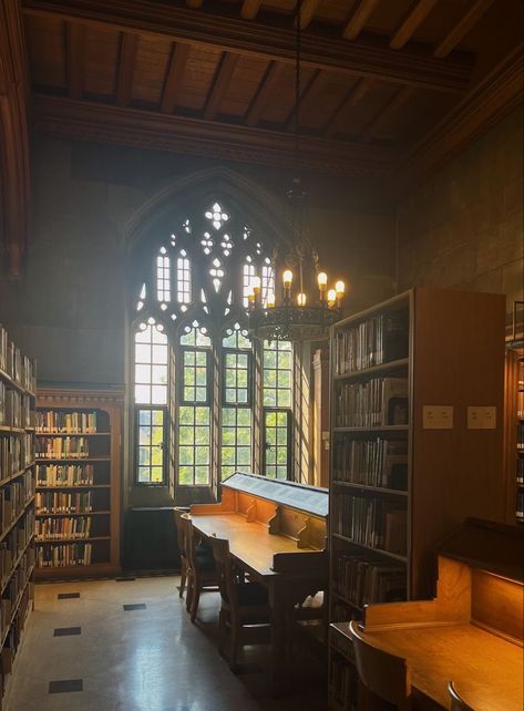 Academia Aesthetic Library, Academia Library, Dark Academia Library, Toronto Library, Aesthetic Library, Aesthetic Study, Library Aesthetic, College Library, College Aesthetic