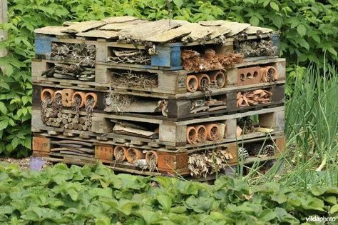 Bug hotel made of palets and other building junk Bug Hotel, Insect Hotel, Gothic Garden, Permaculture Gardening, Countryside Landscape, Garden Designer, School Garden, Master Gardener, Pollinator Garden