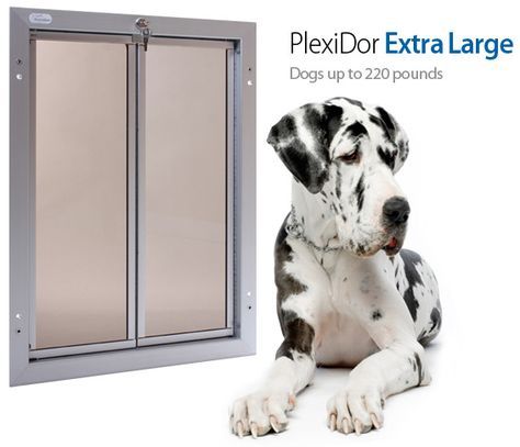 Having trouble finding an extra large dog door for your giant breed? Our XL pet doors are the right fit for dogs up to 220 lbs, such as Great Danes, St. Bernards, and more! Visit our website and request a free catalog to learn more! Great Dane Dog Door, Dog Doors For Large Dogs, Large Dog Door, Doggie Door, Dog Doors, St Bernards, Airline Pet Carrier, Pet Doors, Pet Door