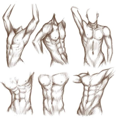 Little bit of male body study for, again, my Dawson portfolio... I really need to wrap this up as quickly as I can @~@ You might notice that one or two poses are inspired by 's poses and body studi... Drawing Poses Male, Male Body Drawing, Male Figure Drawing, Human Body Drawing, Drawing Body Poses, Male Torso, Body Sketches, Human Figure Drawing, Human Anatomy Art