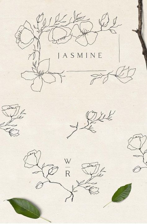 Line Art Frame, Jasmine Tattoo, Botanical Line Art, Art Elements, Art Invitation, Jasmine Flower, Leaf Drawing, Clip Art Borders, Botanical Wedding