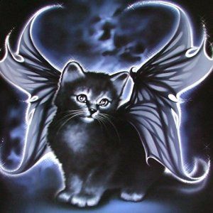 Fairy Cat Fairy Poster, Black Cat Artwork, Fairy Cat, Alt Aesthetic, Gothic Fairy, Lots Of Cats, Cat Artwork, Silly Cats, New Wall