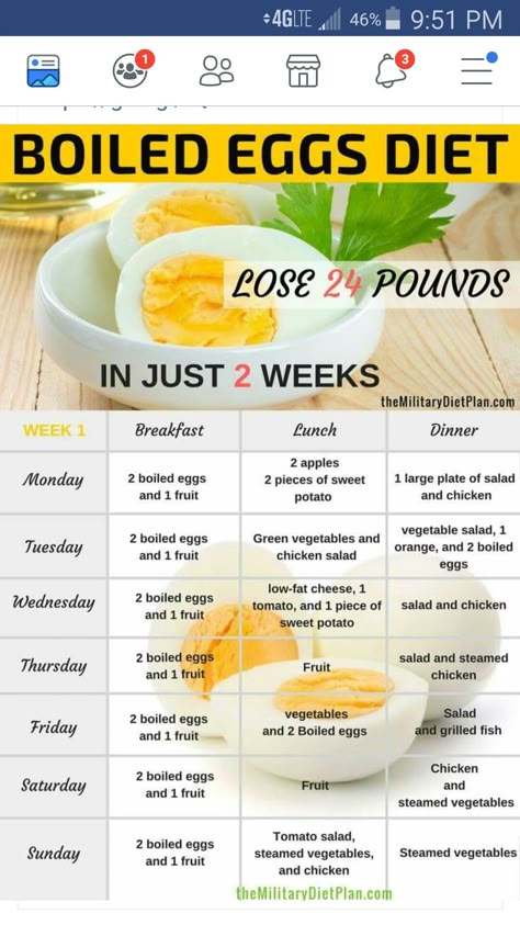 Hard Boiled Eggs Diet, Just Egg, Salad Aesthetic, Egg Diet Plan, Low Fat Cheese, Egg Diet, Fitness Plan, Fat Loss Diet, Boiled Egg