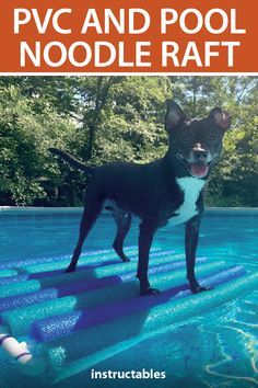 Gabe The Dog, Dog Boat Ramp, Dog Pool Ramp, Dog Ladder, Dog Pool Floats, Craft Booths, Craft Show Booths, Dogs Diy Projects, Pool Rafts