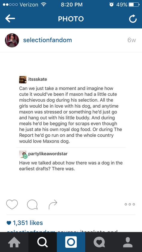 The Selection Headcanon, Maxon And America, Kiera Cass Books, The Selection Series Books, Strawberry Tarts, The Selection Book, Maxon Schreave, The Selection Series, Selection Series