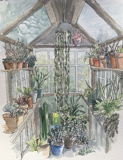 Watercolour illustration with pen & ink #watercolour #illustration #plants #cactus #cacti #greenhouse #potting shed Botanical Garden Drawing, Garden Art Watercolor, How To Draw A Greenhouse, Shed Illustration, Plant Room Drawing, Garden Drawings, Greenhouse Drawing Simple, Greenhouse Painting, Watercolour Plants