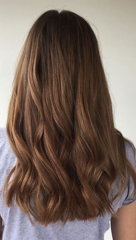 Brown Hair Colour Ideas, Best Brown Hair Color, Hair Color Quotes, Shades Of Brown Hair, Golden Hair Color, Brown Hair Colour, Hair Color Brown Chestnut, Brown Hair Color Shades, Golden Brown Hair Color