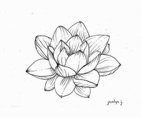 💖 Lotus Flower Sketch, Atrapasueños Tattoo, Lotus Flower Drawing, Butterfly Art Drawing, Lotus Tattoo Design, Flower Sketches, Lotus Tattoo, Tattoo Illustration, Small Tattoo Designs