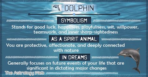 Dolphin Meaning and Symbolism | The Astrology Web Dolphin Dream Meaning, Dolphin Spirit Animal Meaning, Spirit Animal Dolphin, Dolphin Meaning, Dolphin Symbolism, Dolphin Spirit Animal, Angel Symbols, Animal Totem Spirit Guides, Dolphin Quotes