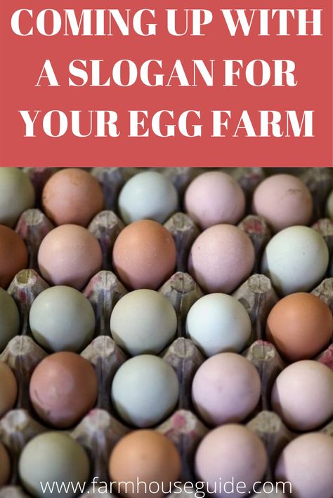 A slogan is, of course, different from your name. It’s like Kentucky Fried Chicken. Everyone knows they are “Finger Lickin Good”. Finding a slogan for your egg farm may seem hard but these tips will help you get started Farming Slogans, Egg Names, Selling Eggs, Egg Farm, Kentucky Fried Chicken, Raising Ducks, Funny Eggs, Chicken Owner, Business Slogans