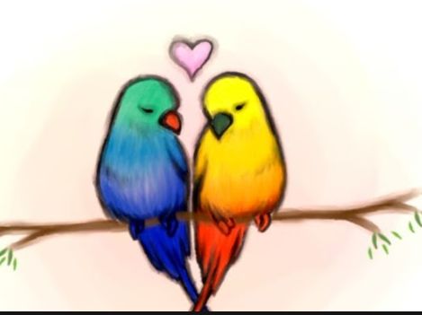 lol Bird Drawing Color, Simple Bird Drawing, Bird Drawing, Drawing Color, Love Bird, Love Birds, Parrot, Rooster, Birds