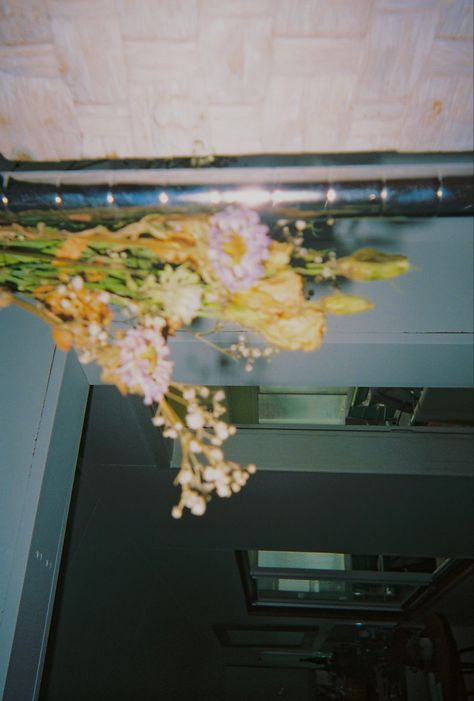 Losing Ground Film, Grain Photos Aesthetic, Film Grain Aesthetic, Film Background Aesthetic, Spiritual Website, Flower Film, Boho Website, Expired Film, Brand Colour Schemes