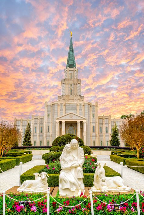 Lds Pictures, Lds Temple Art, Lds Temple Pictures, Mormon Temples, Church Pictures, Temple Pictures, Lds Art, Church Quotes, Lds Temple