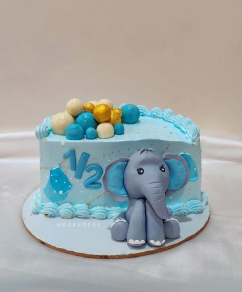 Elephant theme cake Cake For 6 Months, Elephant Theme Cake, Half Birthday Cake, Jungle Birthday Cakes, Birthday Elephant, Half Birthday Cakes, Old Cake, Elephant Cake, Elephant Cakes