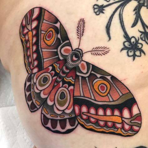 Cecropia Moth Tattoo, Moth Tattoo Ideas, Dark And Creepy, Traditional Moth Tattoo, Moth Tattoos, Traditional Butterfly Tattoo, Cecropia Moth, Moth Tattoo Design, Neotraditional Tattoo